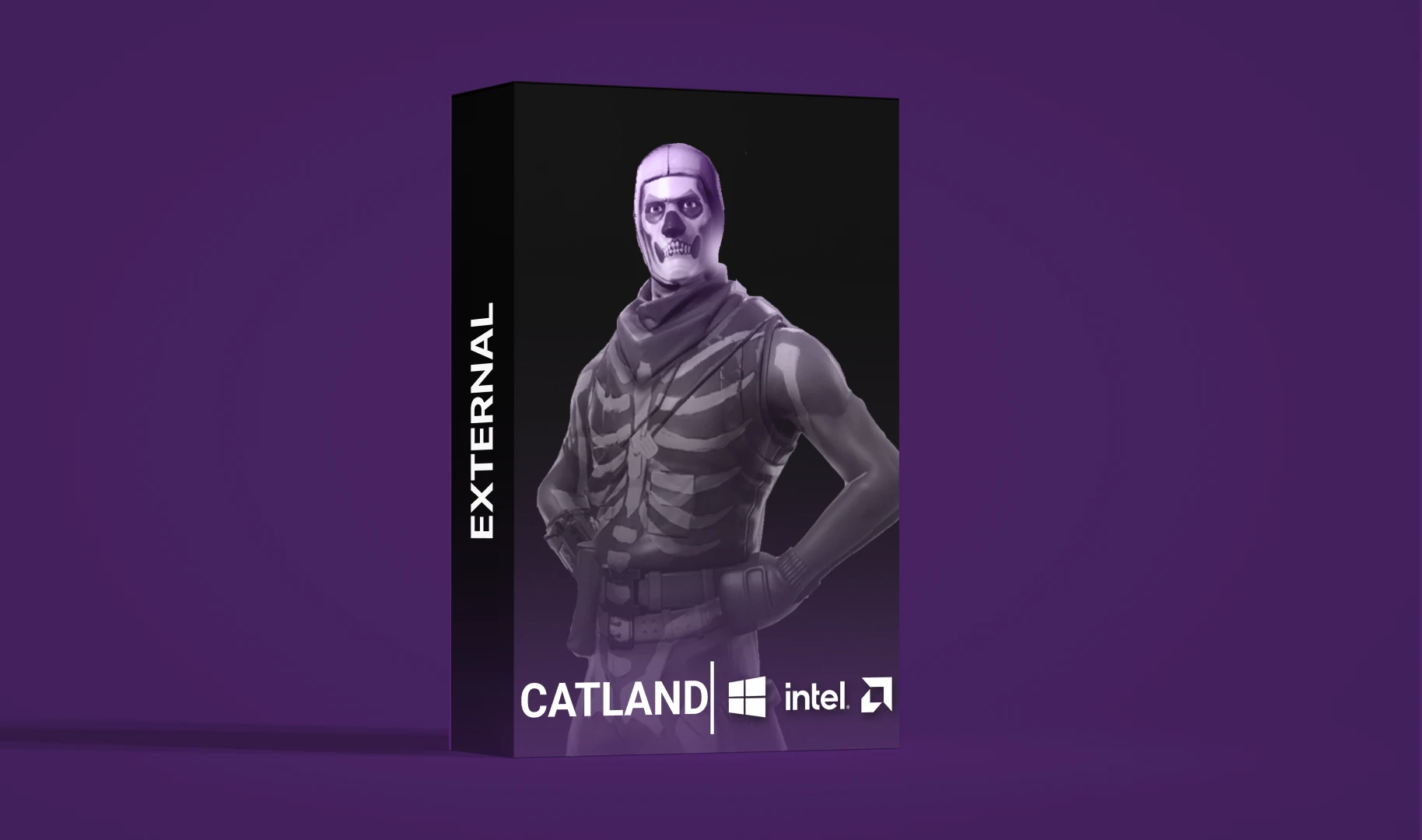 Fortnite Internal
